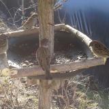 photo 2019-02-27 09-12-56