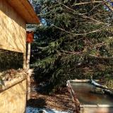 photo 2022-01-10 10-54-00