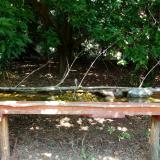 photo 2021-08-25 12-31-36