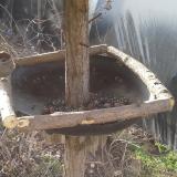 photo 2019-03-10 07-56-42