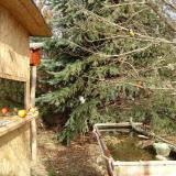 photo 2021-12-26 11-50-34