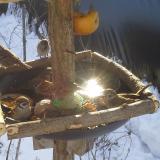 photo 2019-01-27 10-08-08