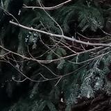 photo 2021-12-22 09-28-16 szajko