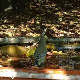 photo 2021-10-02 11-49-47 zold