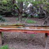 photo 2021-04-19 19-00-13