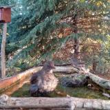 photo 2023-10-14 08-01-22