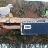 photo 2021-02-13 09-02-01