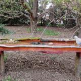 photo 2021-04-10 18-42-01