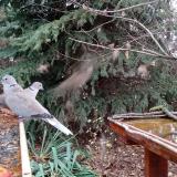 photo 2021-11-13 12-50-19