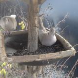 photo 2019-12-28 12-57-19