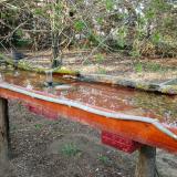 photo 2021-04-05 17-54-34