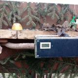 photo 2021-02-08 09-38-41