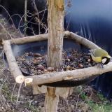 photo 2019-01-03 12-49-57