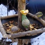 photo 2019-01-14 11-43-45