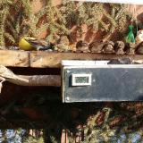 photo 2021-02-13 12-14-21