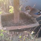 photo 2019-12-19 08-17-54