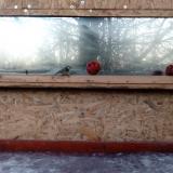 photo 2022-01-15 07-24-14