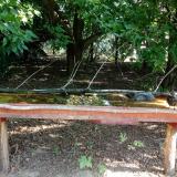 photo 2021-07-24 08-33-18