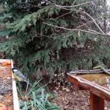 photo 2021-11-13 13-14-43