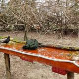 photo 2021-03-22 10-36-13