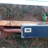 photo 2021-03-01 07-09-00