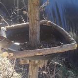 photo 2019-03-06 11-08-15