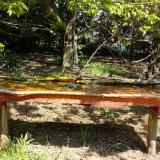 photo 2021-04-26 10-56-53 kerti rozsdafarku