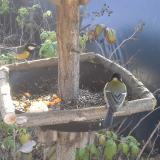 photo 2019-12-08 10-47-35