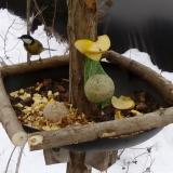 photo 2019-01-12 13-22-41