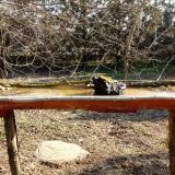 photo 2021-03-11 08-51-04