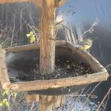 photo 2019-12-26 13-11-31