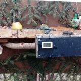 photo 2021-02-02 09-07-09