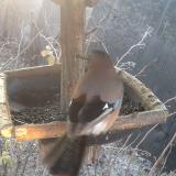 photo 2019-12-30 08-14-17