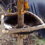 photo 2019-02-08 11-16-49