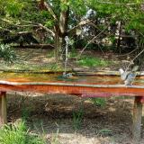 photo 2021-04-27 15-24-56