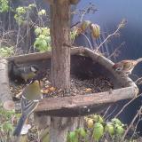 photo 2019-12-08 12-23-17