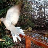 photo 2021-11-15 08-17-19