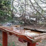 photo 2022-03-31 08-28-04