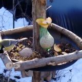 photo 2019-01-14 09-15-43