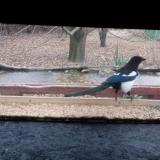 photo 2021-12-09 08-33-55