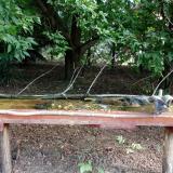 photo 2021-08-04 08-56-19