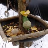 photo 2019-01-13 10-10-52