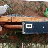 photo 2021-03-04 10-10-48