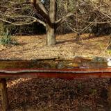 photo 2021-10-26 14-36-49