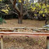 photo 2021-10-21 10-31-08