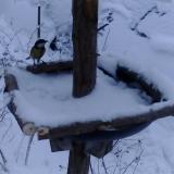 photo 2019-01-05 15-33-32