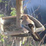 photo 2019-12-17 14-04-11