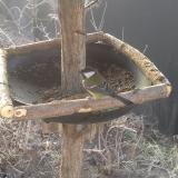 photo 2019-02-16 08-03-21