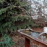 photo 2021-11-15 14-46-21