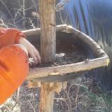 photo 2019-02-27 11-03-08